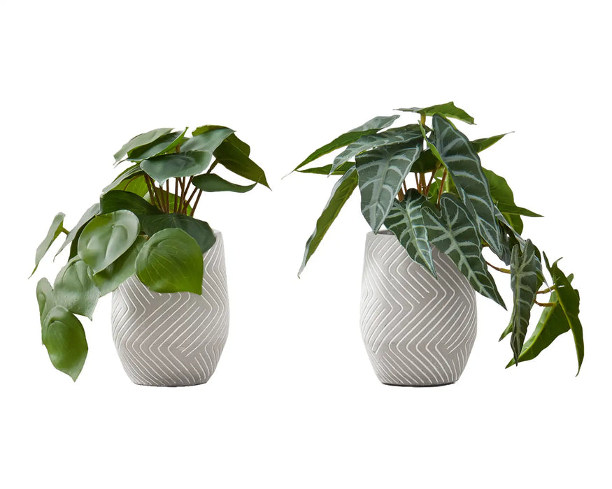 ALOCASIA – Set of 2 artificial plants 8"