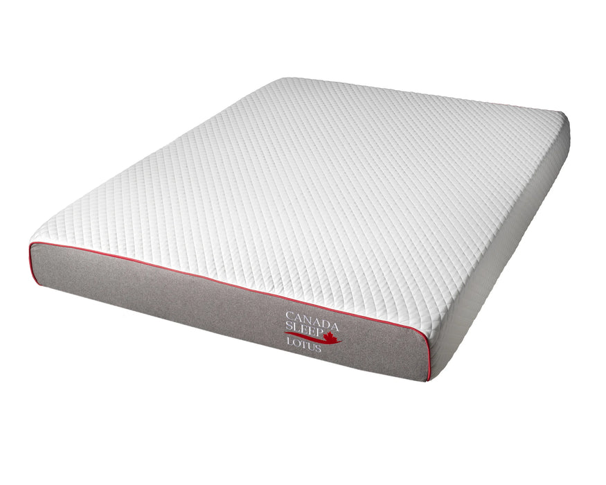 LOTUS – Matelas en mousse 8.5"