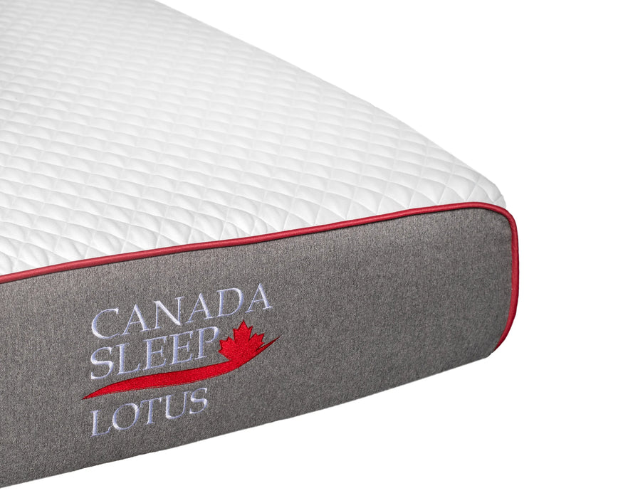 LOTUS – Matelas en mousse 8.5"