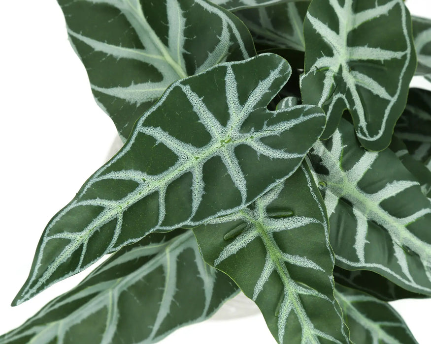 ALOCASIA – Ensemble de 2 plantes artificielles 8"