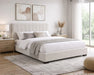Base de lit VALERIE beige ivoire dans une chambre contemporaine — Nuasis